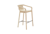 Thomas Bar Stool - Low
