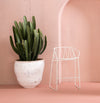 Chee Bar Stool - Low
